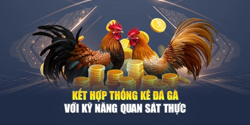 Kết hợp thống kê đá gà với kỹ năng quan sát thực